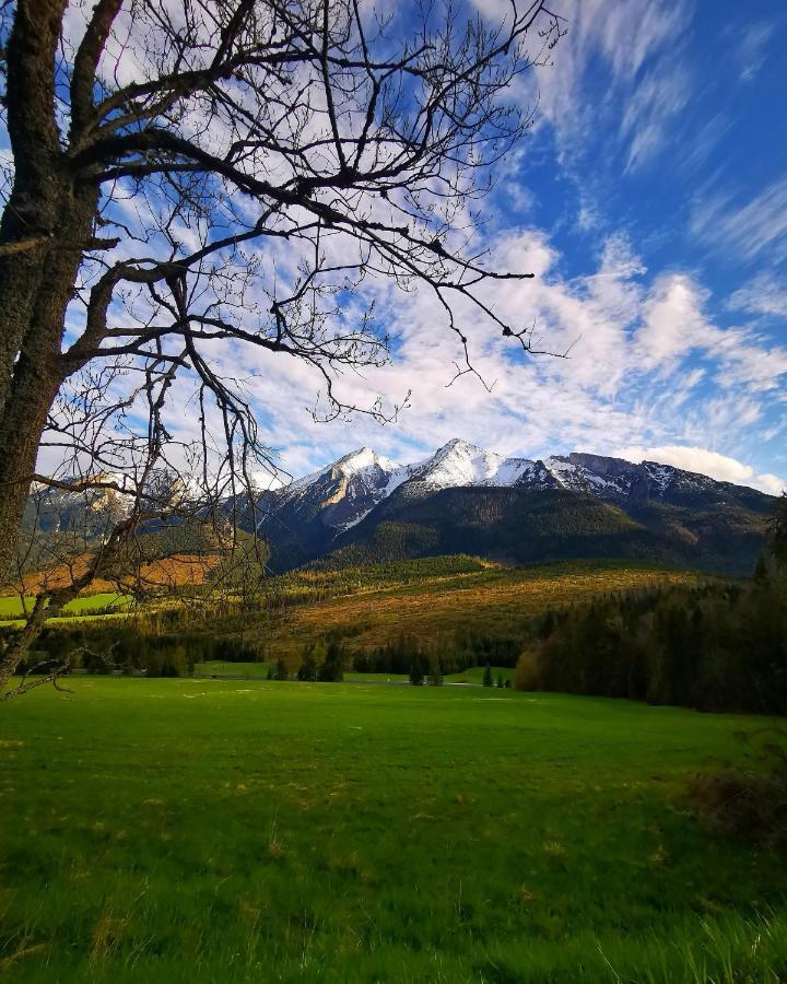 Villa Chalupka U Lisky Elisky Ždiar Exterior foto